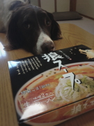 通販で販売中らしい♪