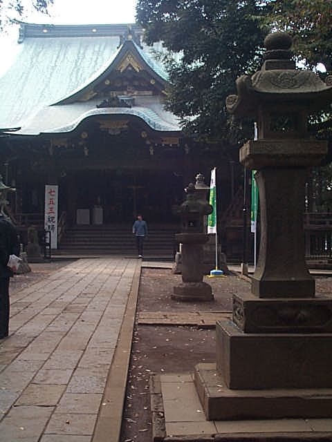 Sq_