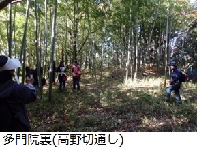 多門院裏(高野切通し)  