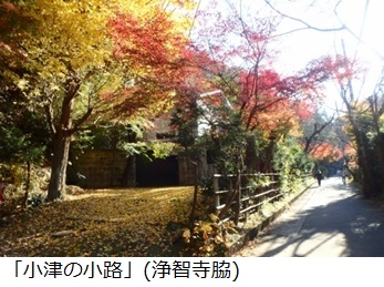 「小津の小路」(浄智寺脇)  