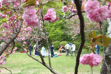 高野切通し