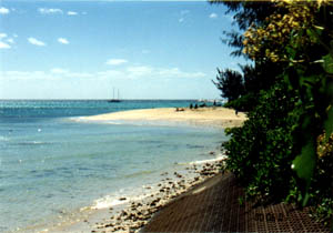 Photo Green Island_1