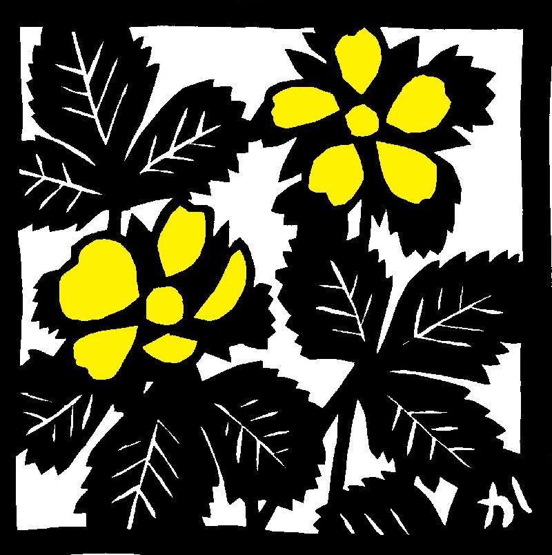 �w�r�C�`�S