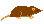 ジャコウネズミ