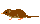 Long-tailed White-toothed Shrew