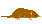 Orii's White-toothed Shrew