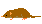 Orii's White-toothed Shrew