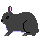 Amami Rabbit