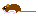 ハツカネズミ