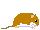 Small Japanese field mouse