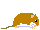 ヒメネズミ