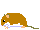 ヒメネズミ