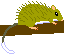 ケナガネズミ