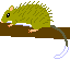 Ryukyu Long-tailed Giant Rat