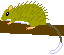 ケナガネズミ