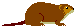 マスクラット