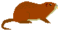 ヌートリア