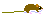 オキナワハツカネズミ