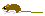 オキナワハツカネズミ