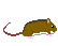 セスジネズミ