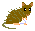 オキナワトゲネズミ