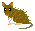 オキナワトゲネズミ