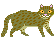 Iriomote Wildcat