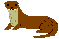 Eurasian River Otter