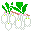 ドウダンツツジ