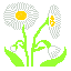 ハルジオン