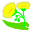 ノゲシ