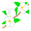 シロヤマブキ