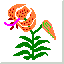 Tiger lily