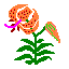 Tiger lily
