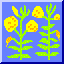 Large-flower'd evening primrose