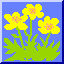 (Trollius riederianus)