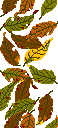 Withered leaf