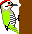 Japanese Green Woodpecker