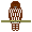 Brown hawk-owl in the daytime