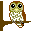 take off Ural owl