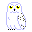 look around Snowy owl