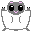 Gray Small Flying squirrel