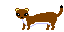 茶おこじょくんくん