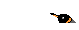 jump