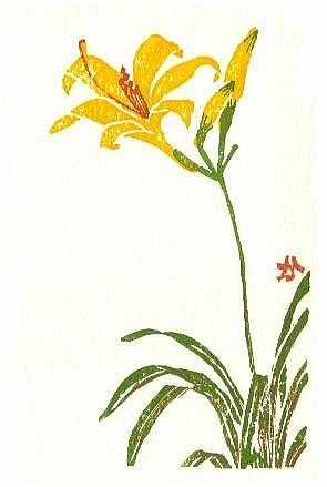 Day lily