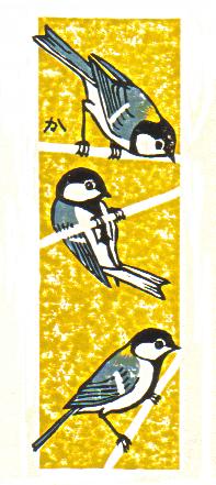 Great Tit