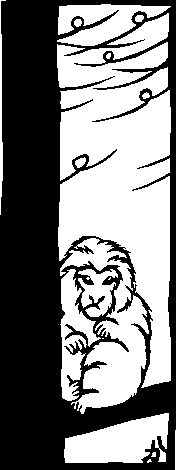 Monky