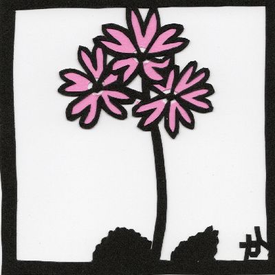 ハクサンコザクラ