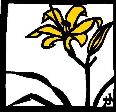 ニッコウキスゲ