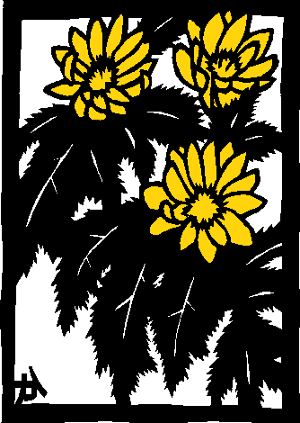 �t�N�W���\�E